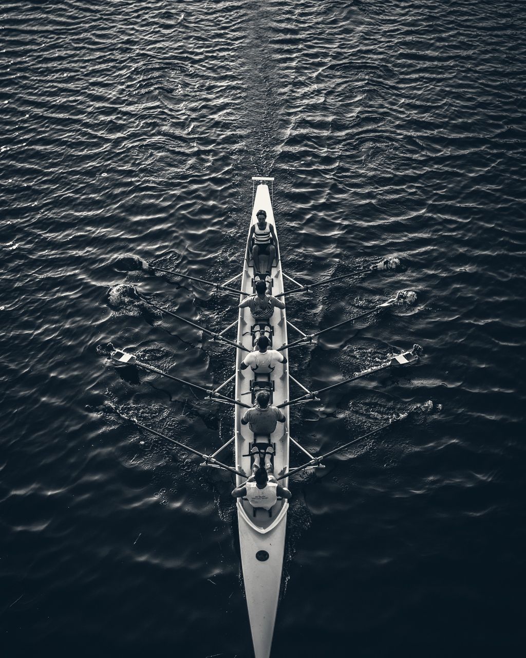 A rowing crew seen from above, moving in unison across dark water