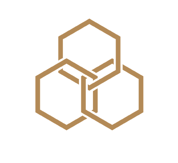 The Meritas hexagon mark